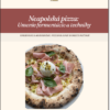 Digitálny sprievodca – Neapolská pizza: Umenie fermentácie a techniky
