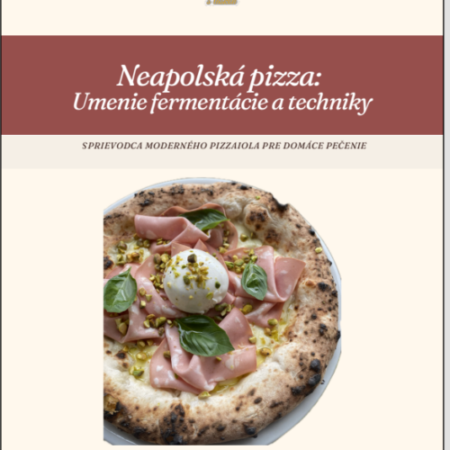 Digitálny sprievodca – Neapolská pizza: Umenie fermentácie a techniky