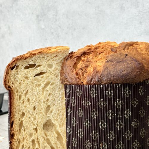 Kurz_Panettone Panettone